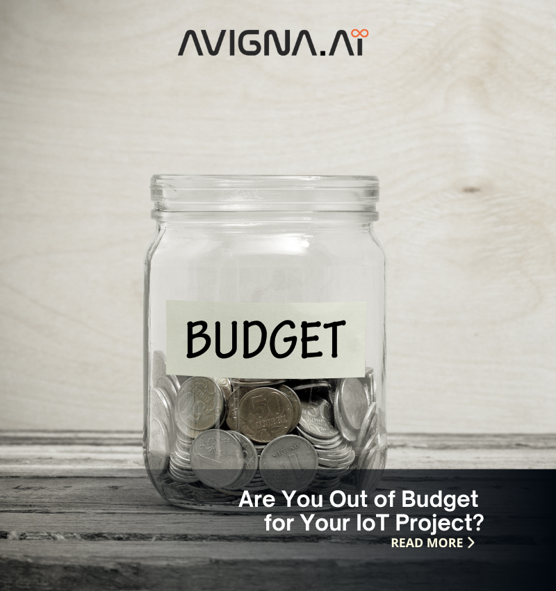 IOT project Budget