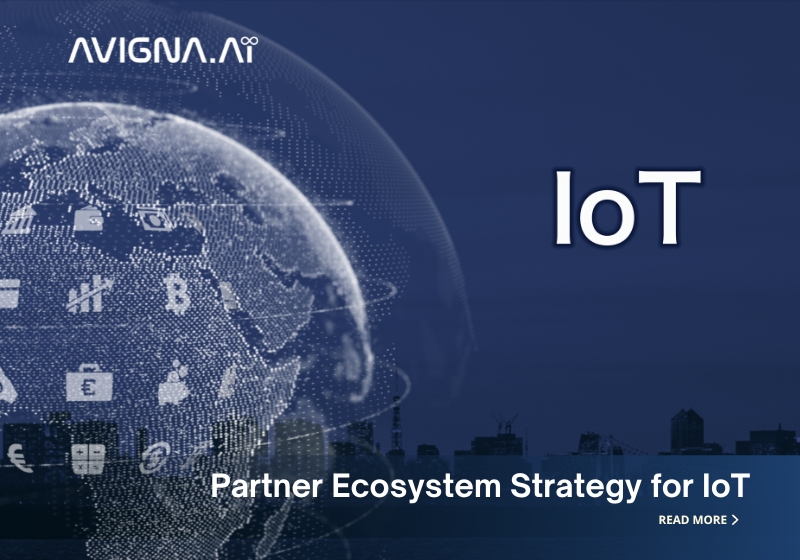 Partner Ecosystem Strategy for IoT