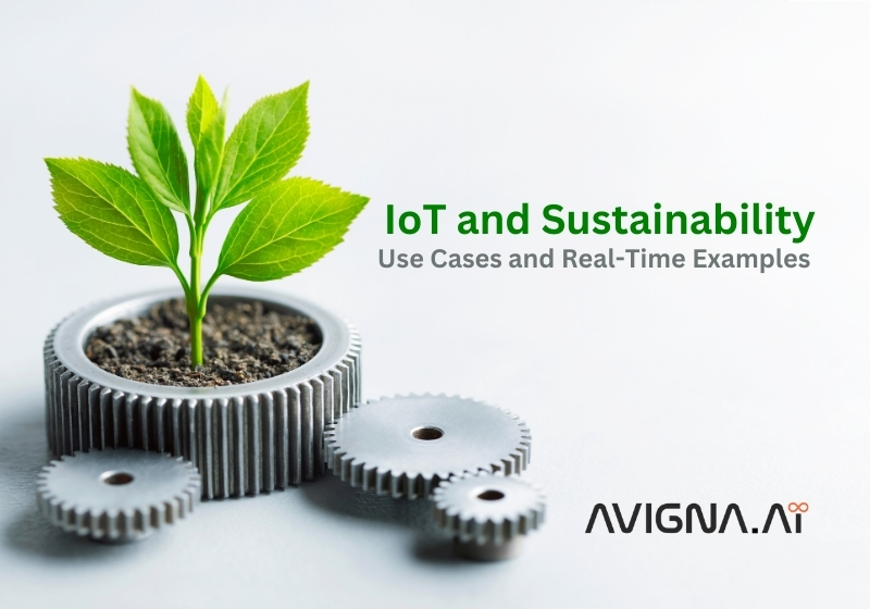 IoT and Sustainability