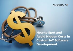 Costs in IoT software development