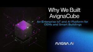 Why We Built AvignaCube